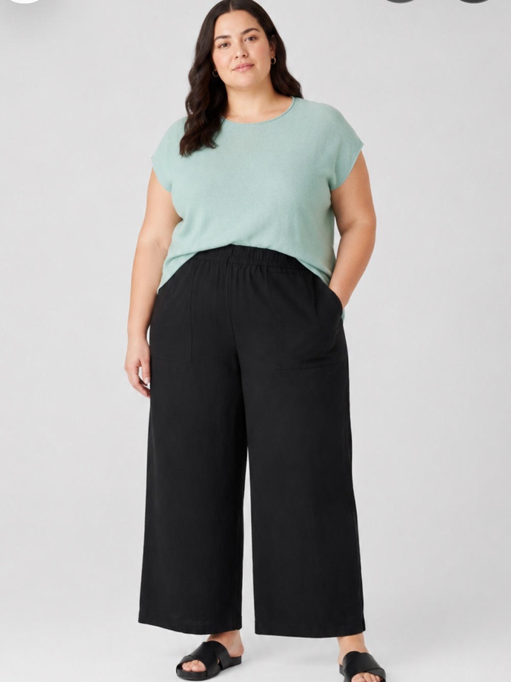 Eileen Fisher Organic Linen Wide leg Pant Black Easy Fit, Ankle Length size 1X